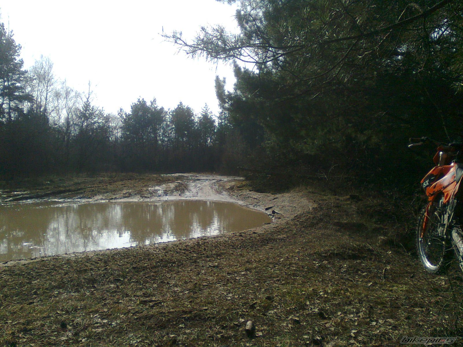 Photo 1593352