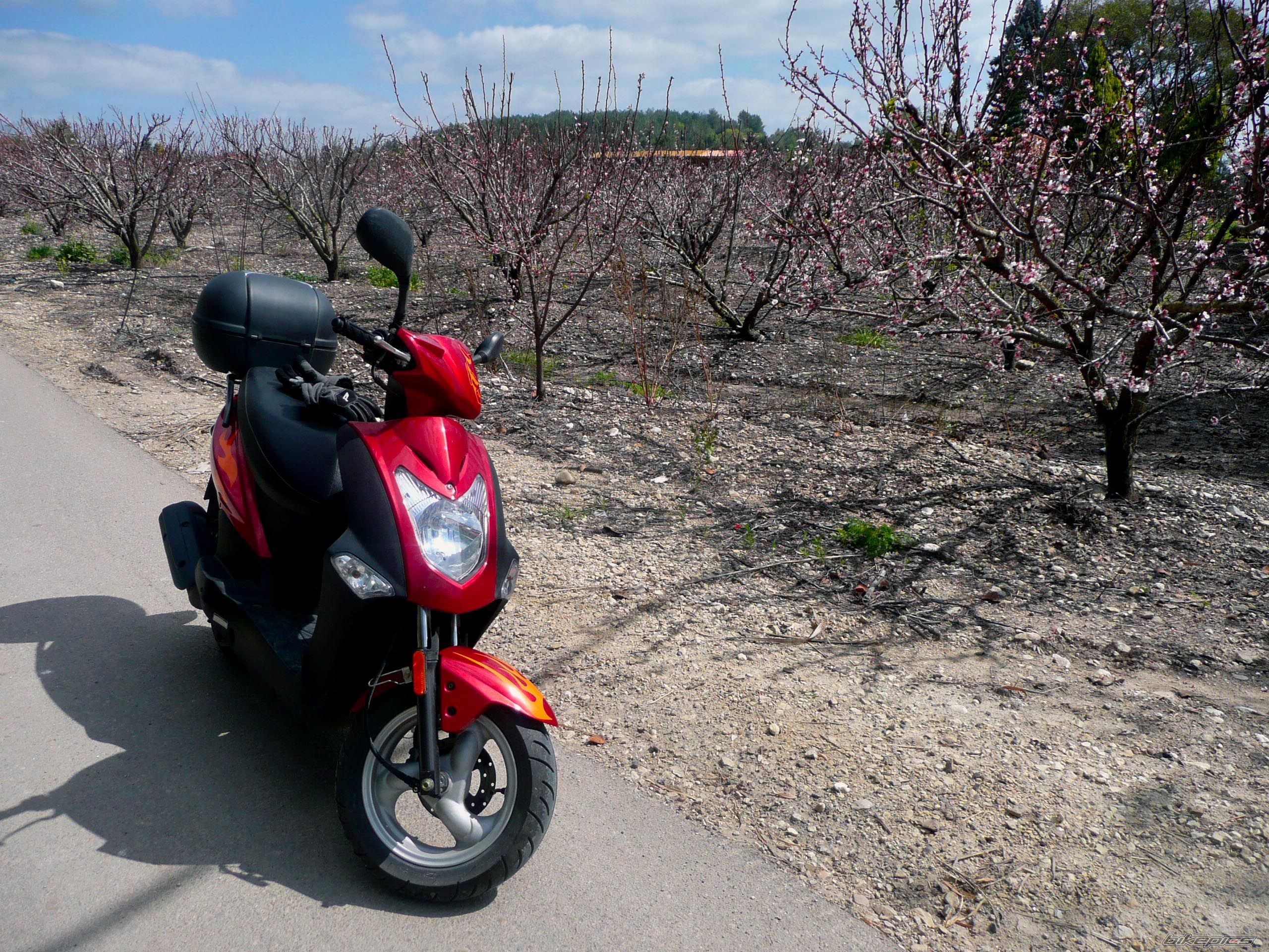 Bike Photo 1598160