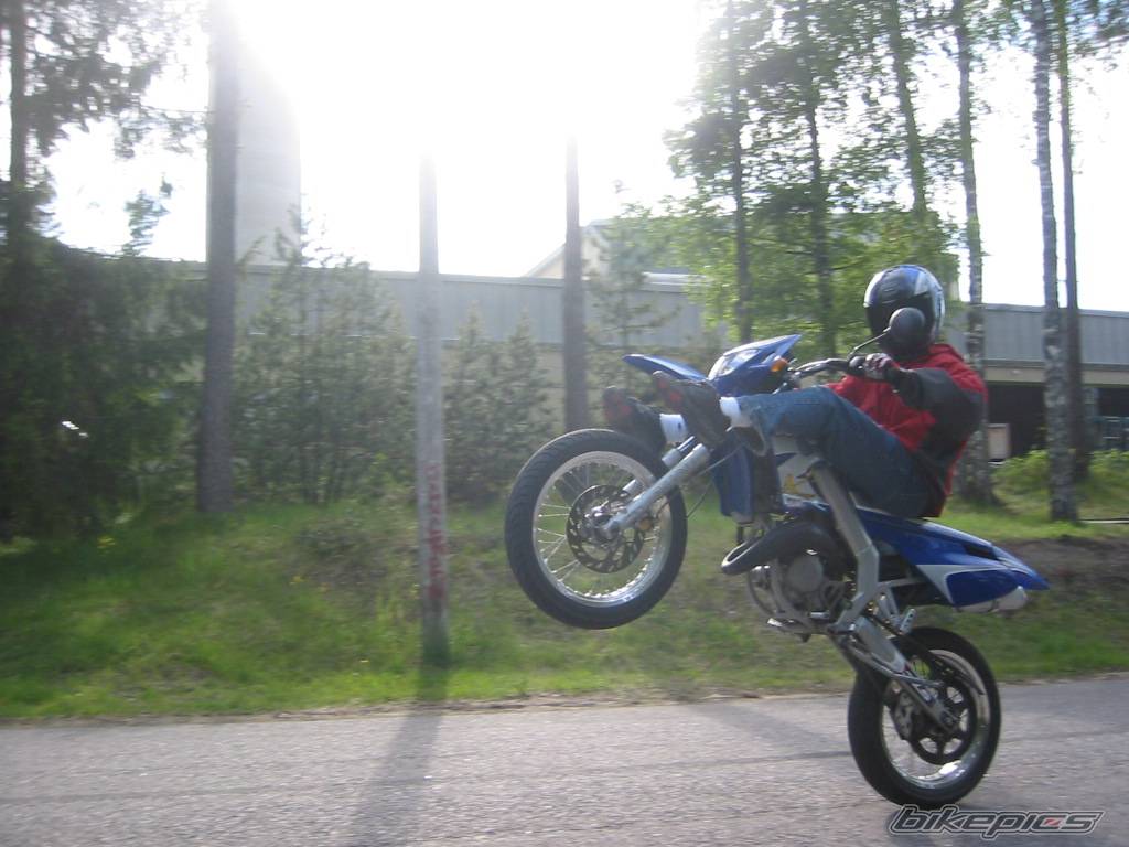 Photo 159831