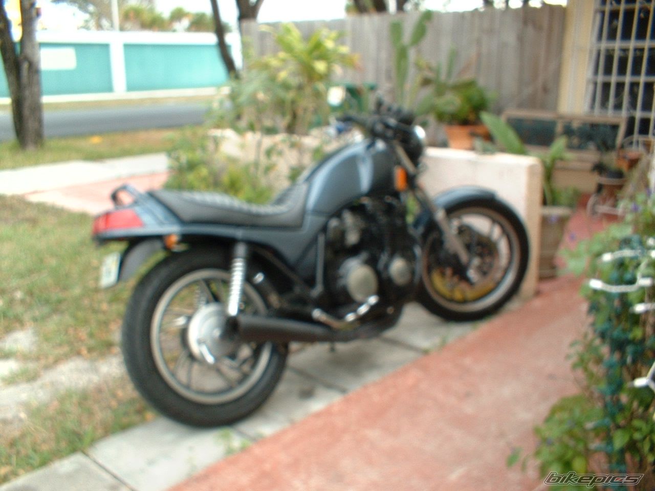 Photo 1603752