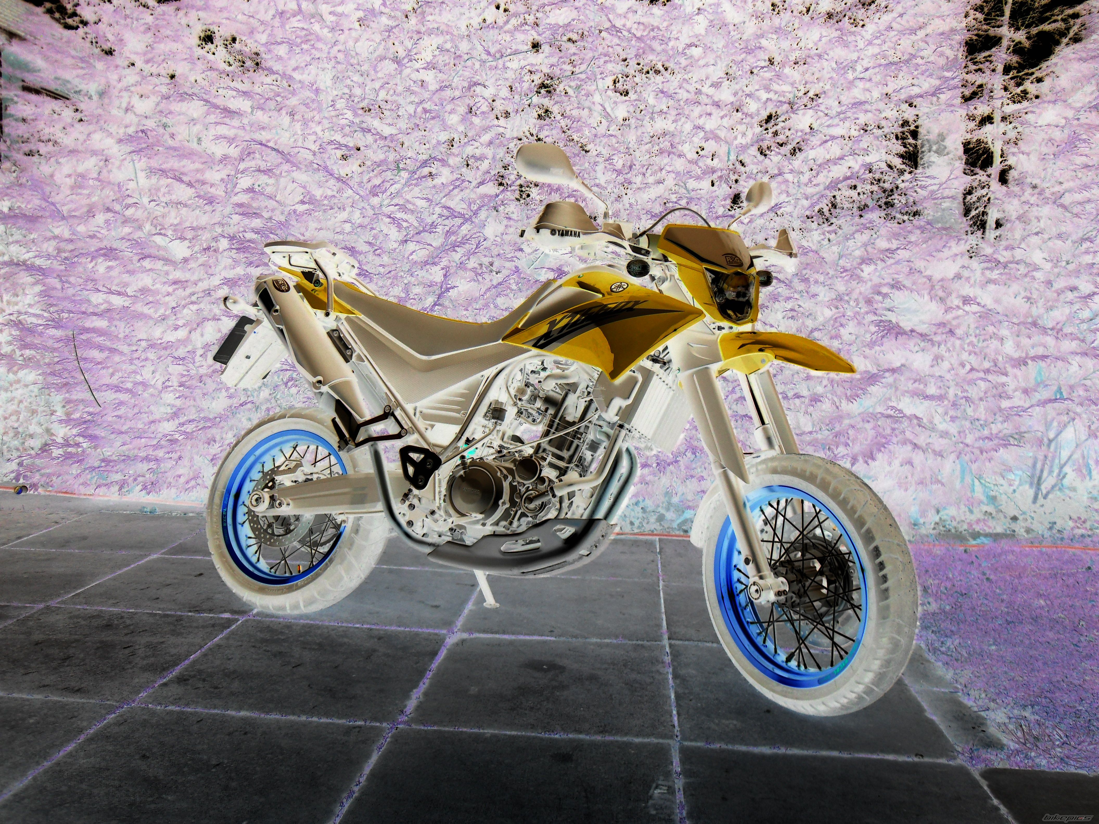 Bike Photo 1611577