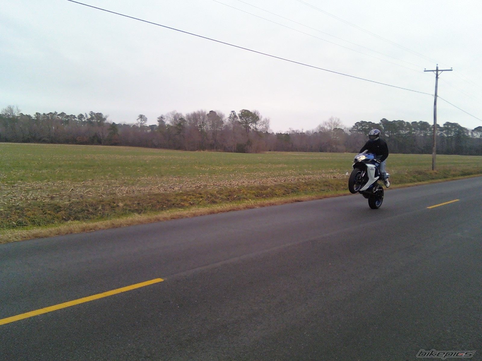 Photo 1614931