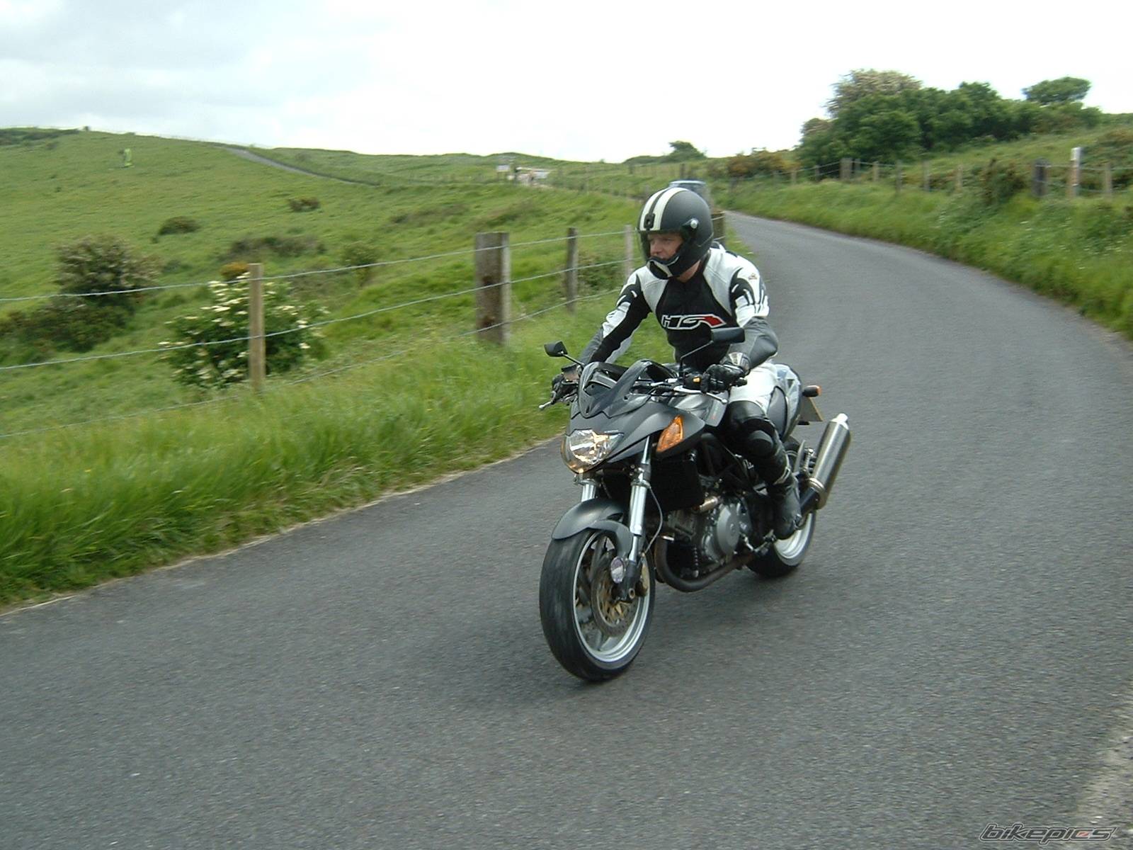 Photo 161729