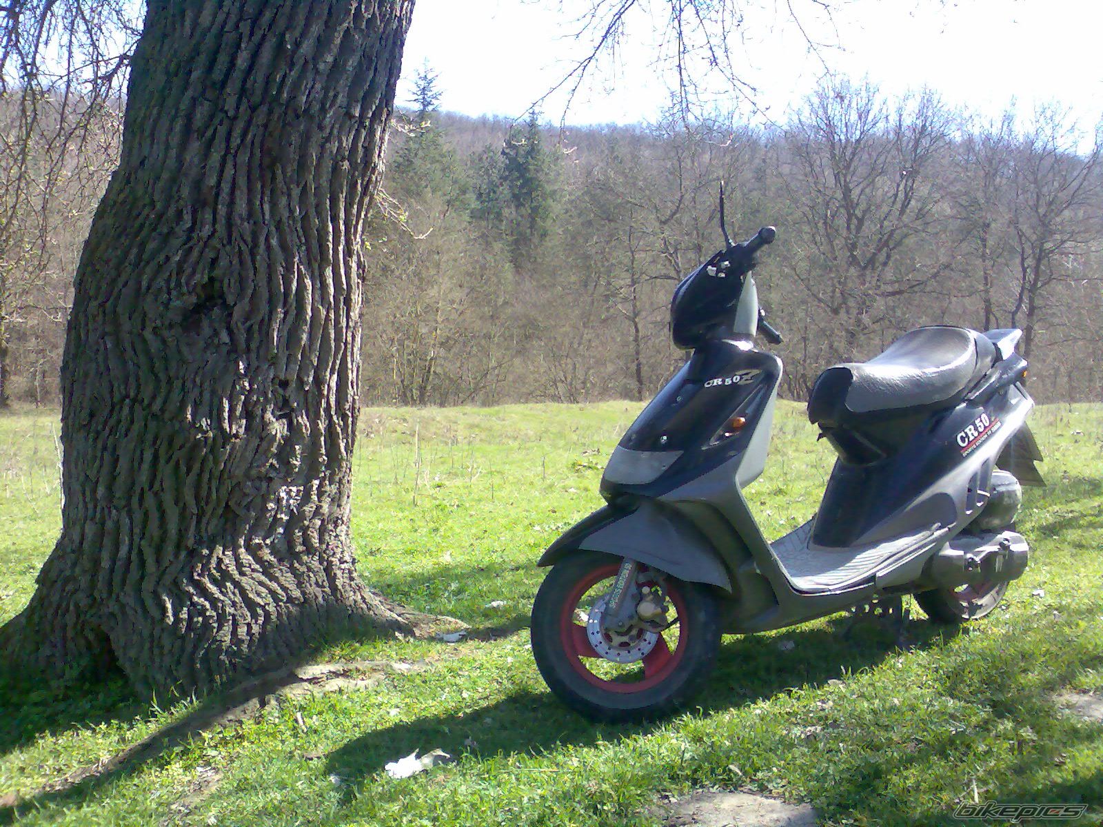 Photo 1622646