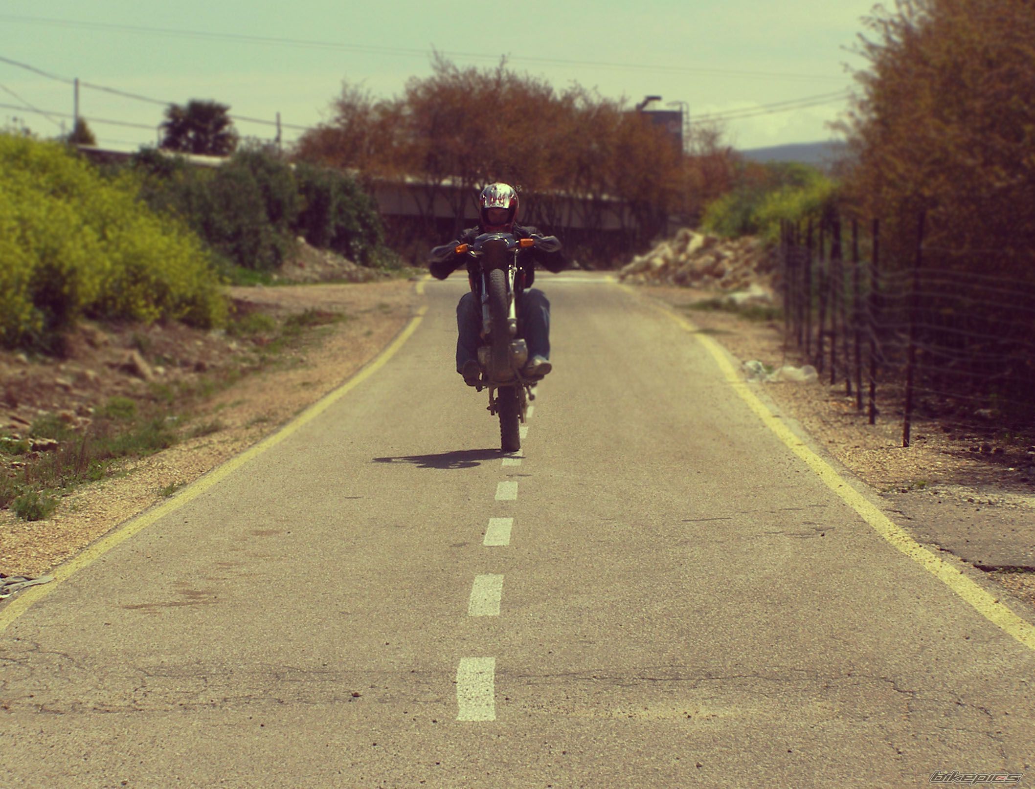 Photo 1626785