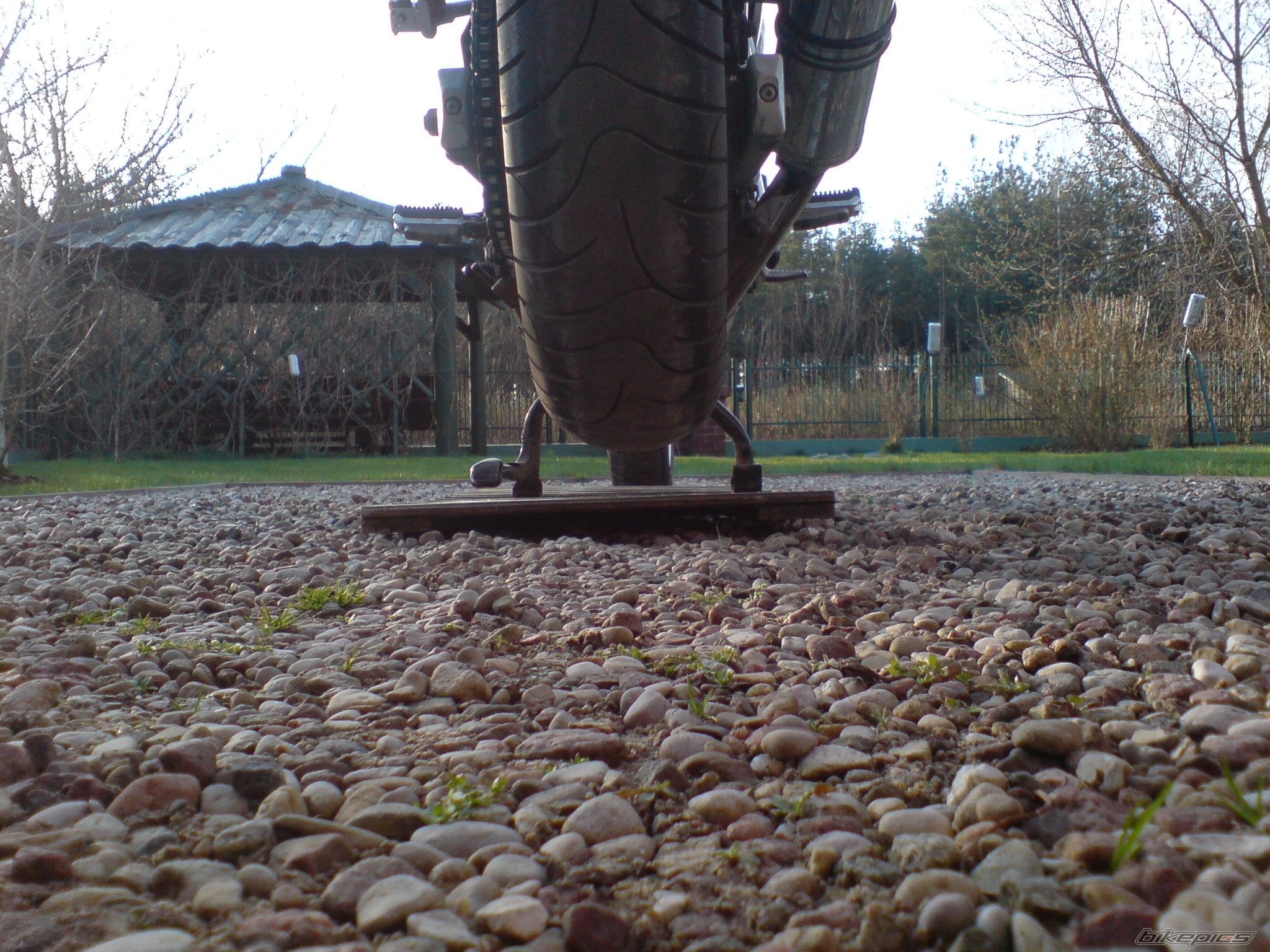 Photo 1629574