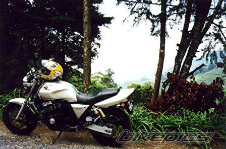 Photo 163191