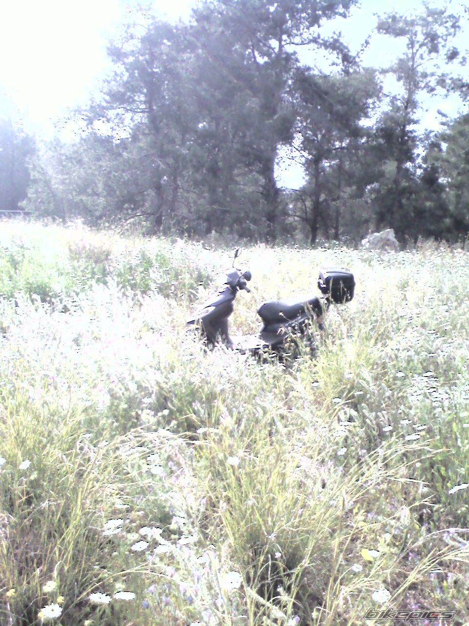 Photo 1634342