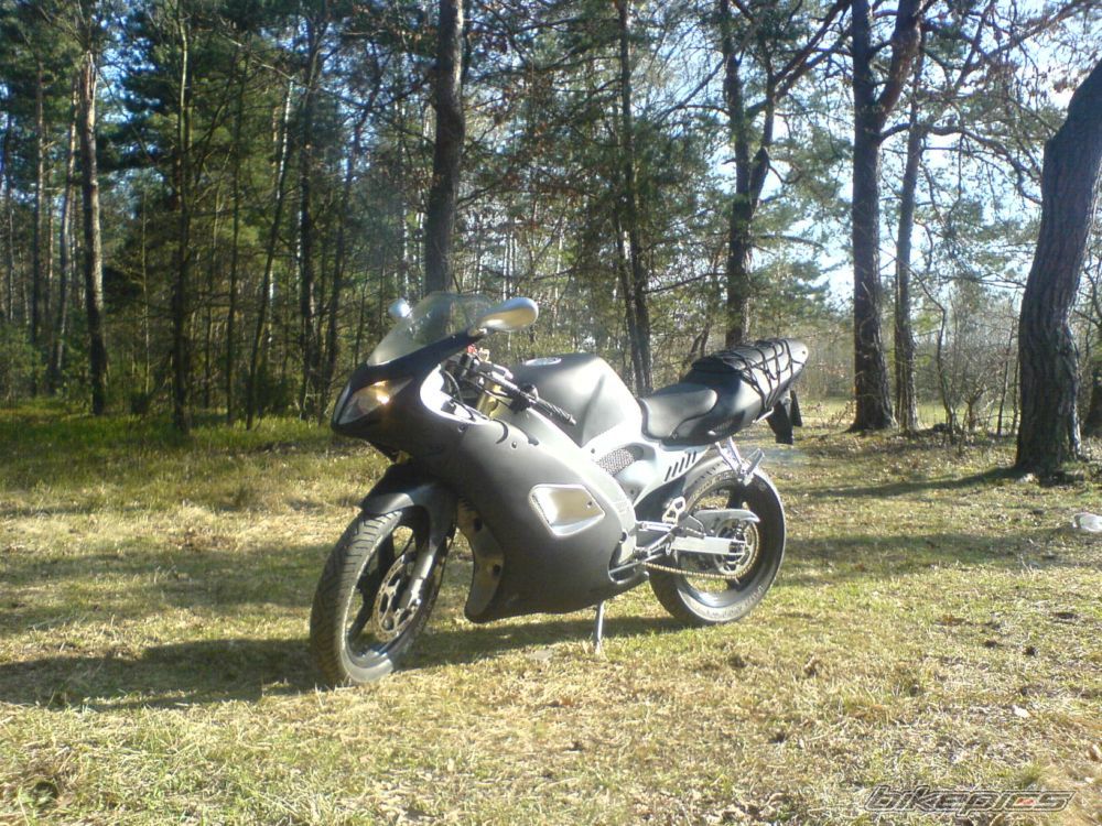 Photo 1635345