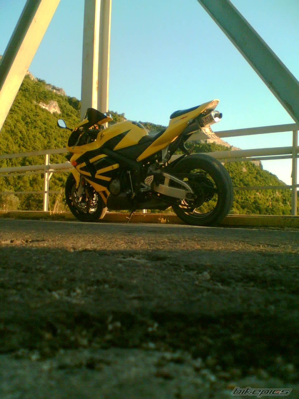 Photo 1637943