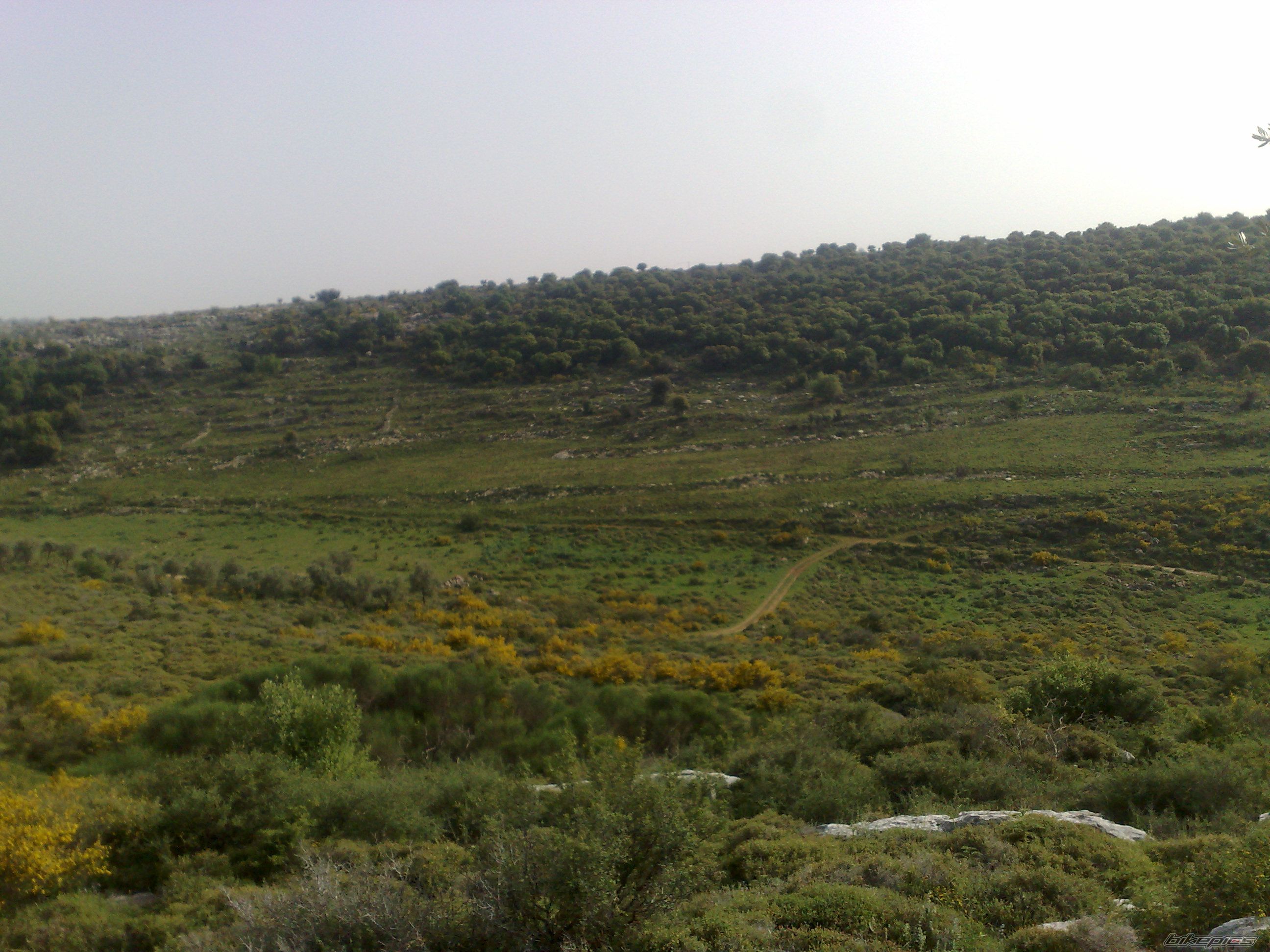Photo 1637989