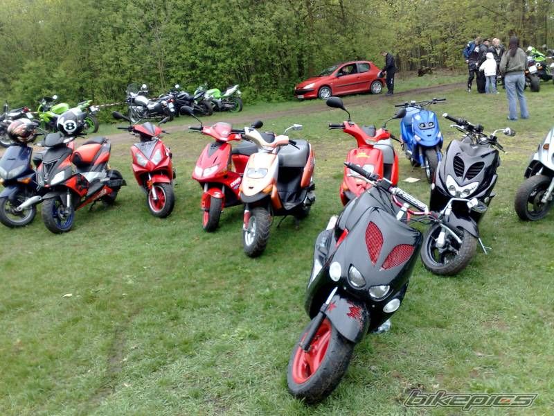 Photo 1638219