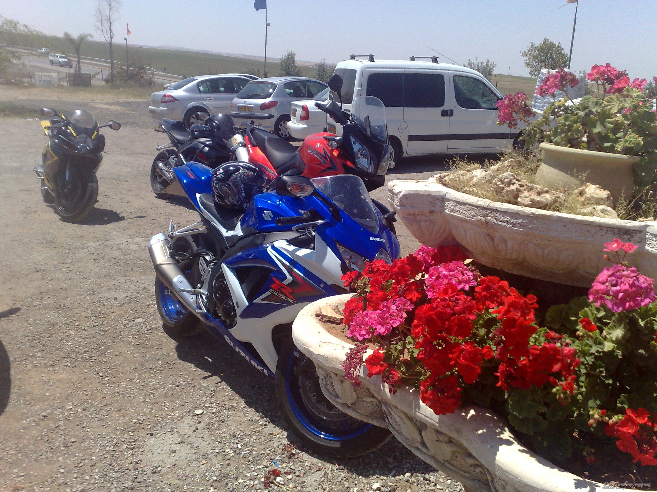 Photo 1638408