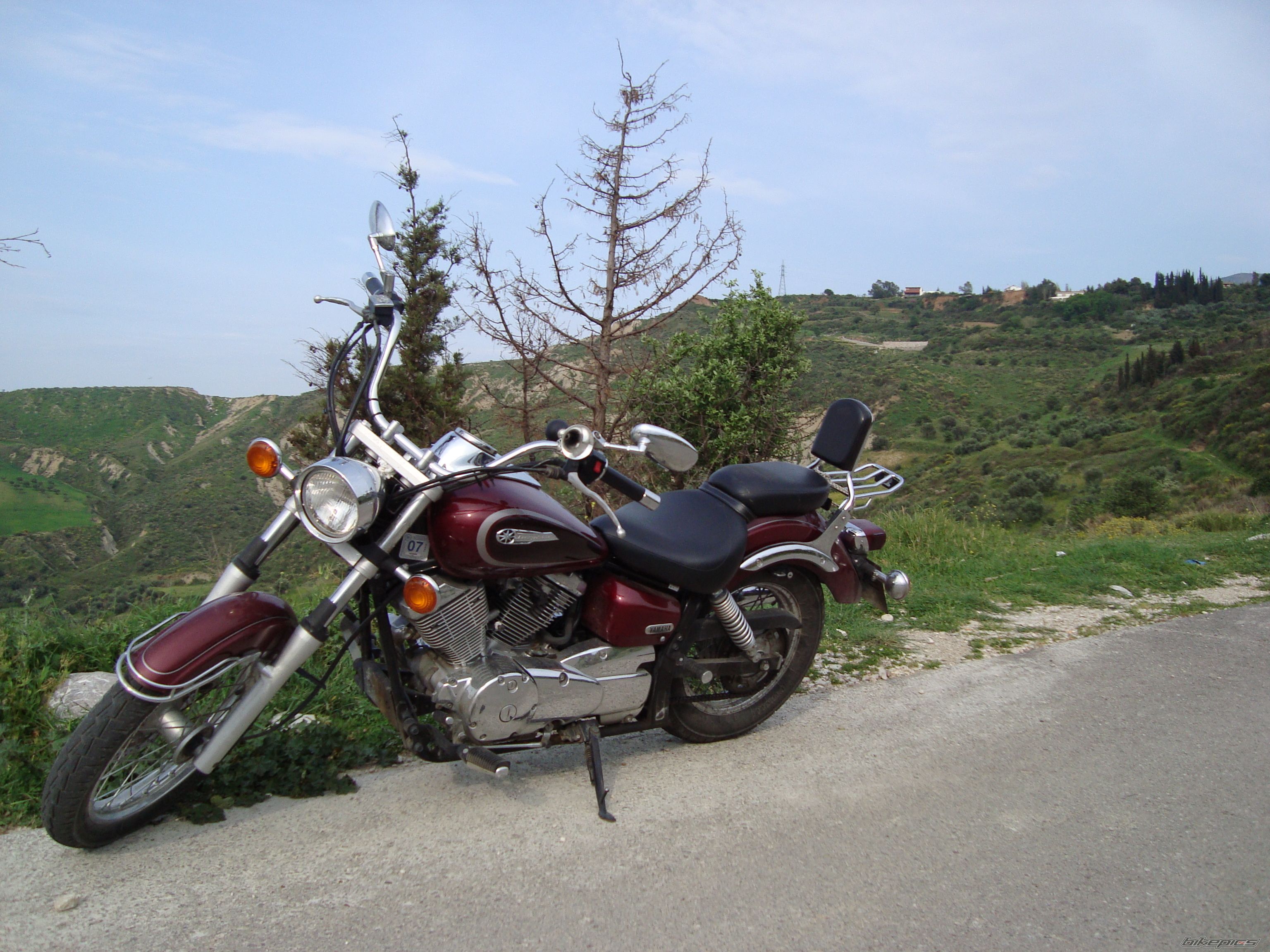 Photo 1639838