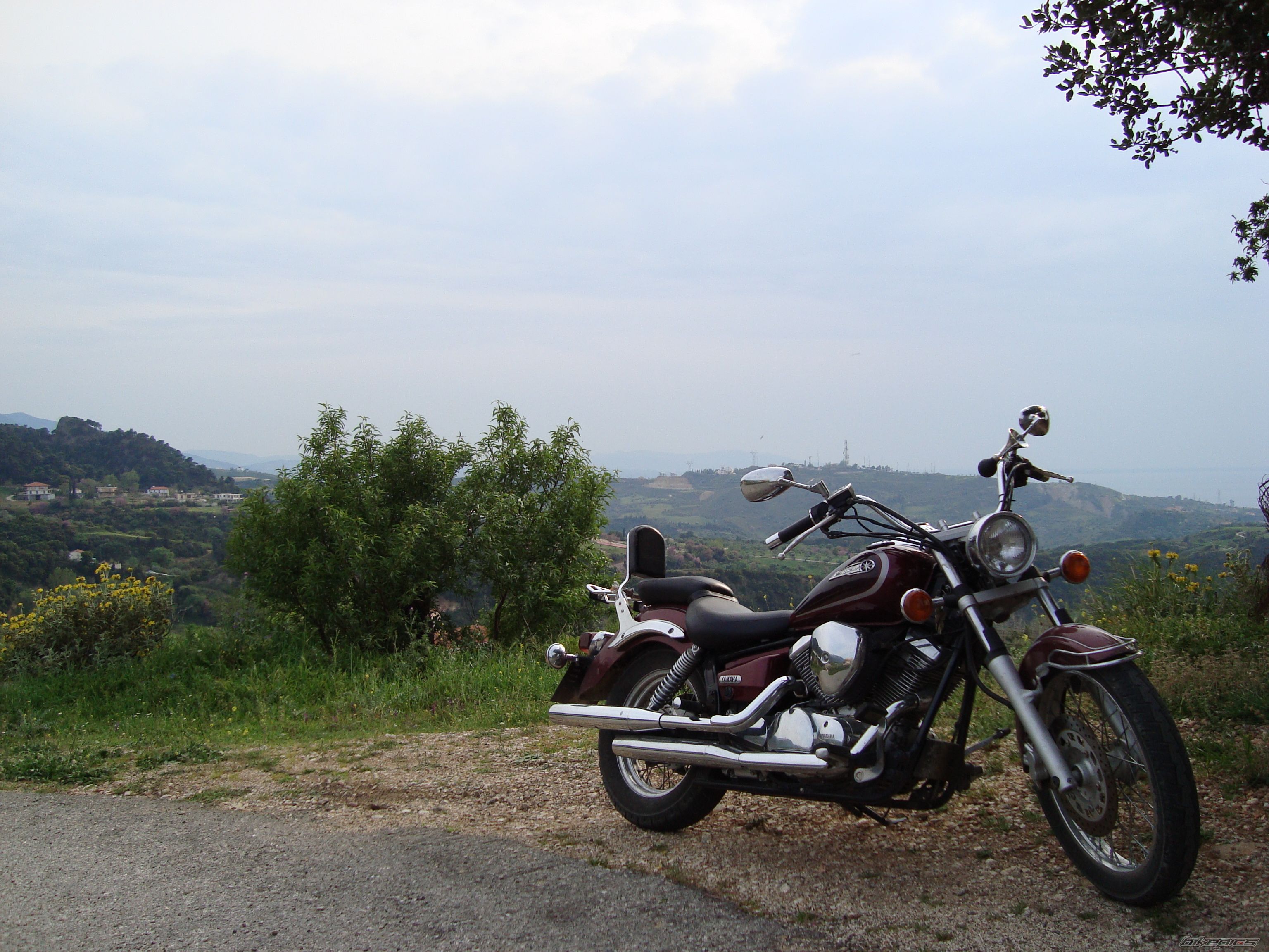 Photo 1639868