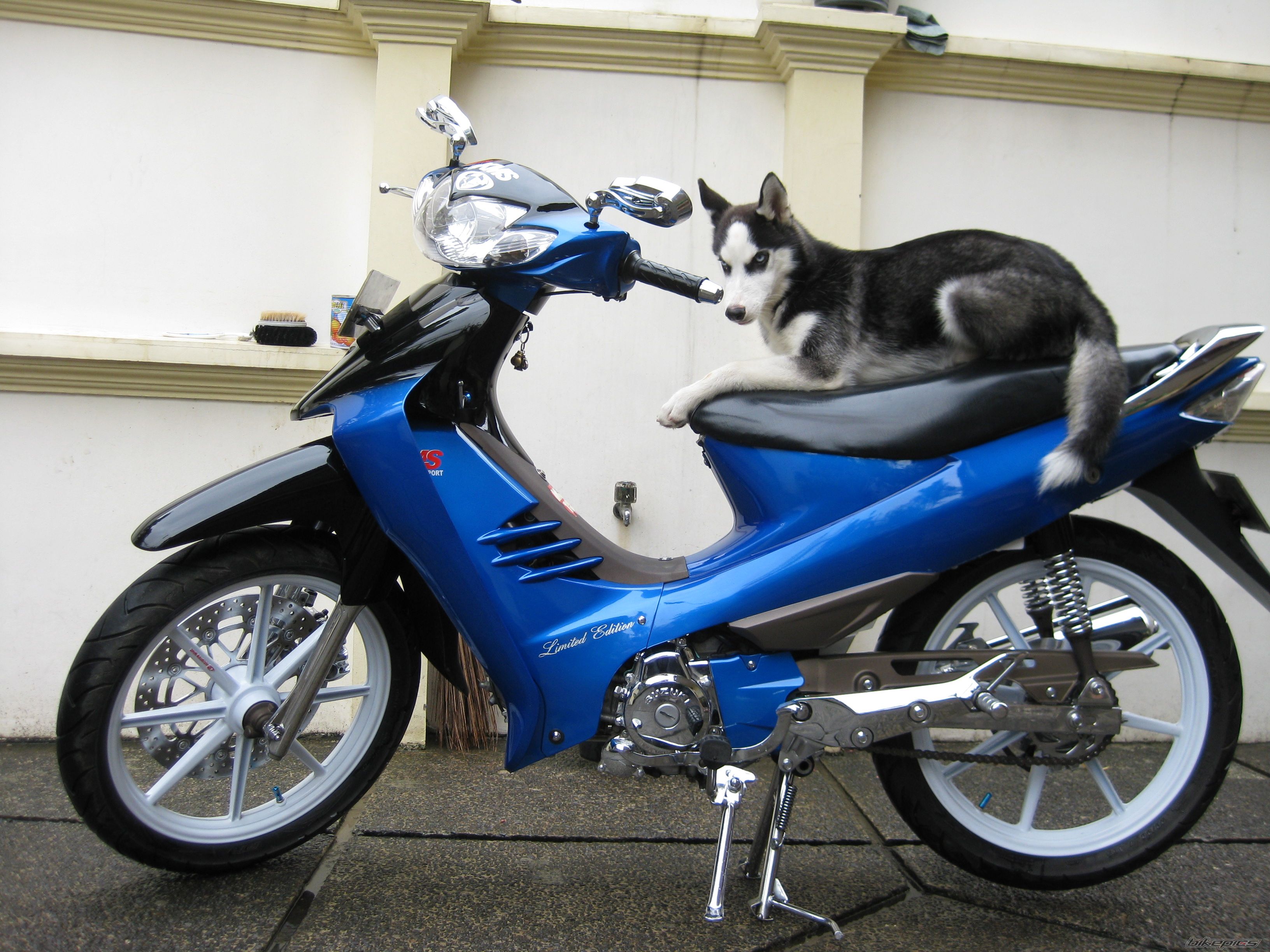 Bike Photo 1644911
