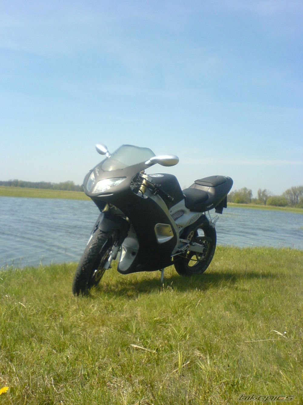 Photo 1647309