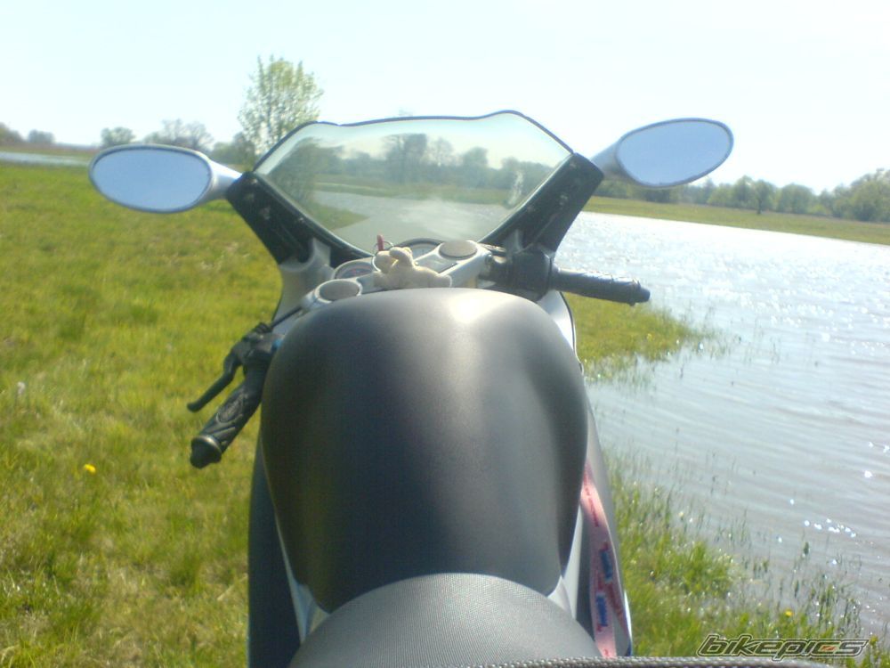 Photo 1647322
