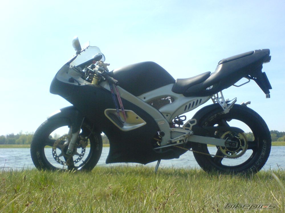 Photo 1647323