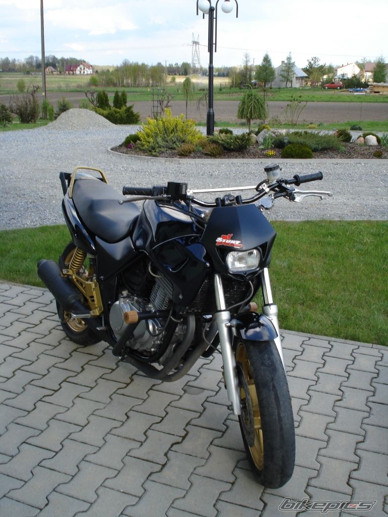 Photo 1647457