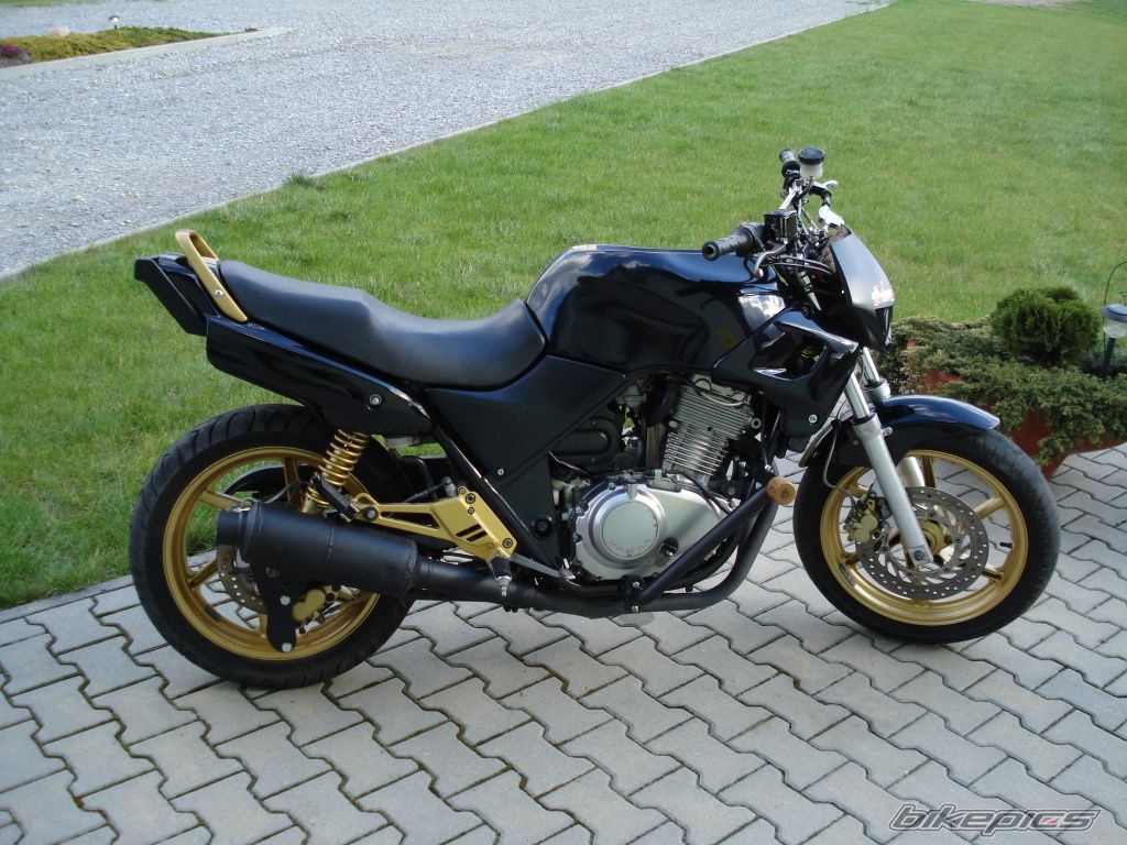 Photo 1647464