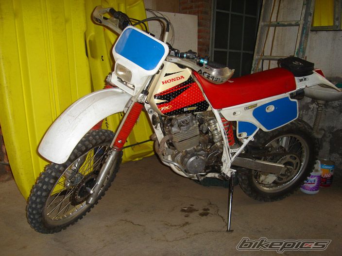 Photo 1647660