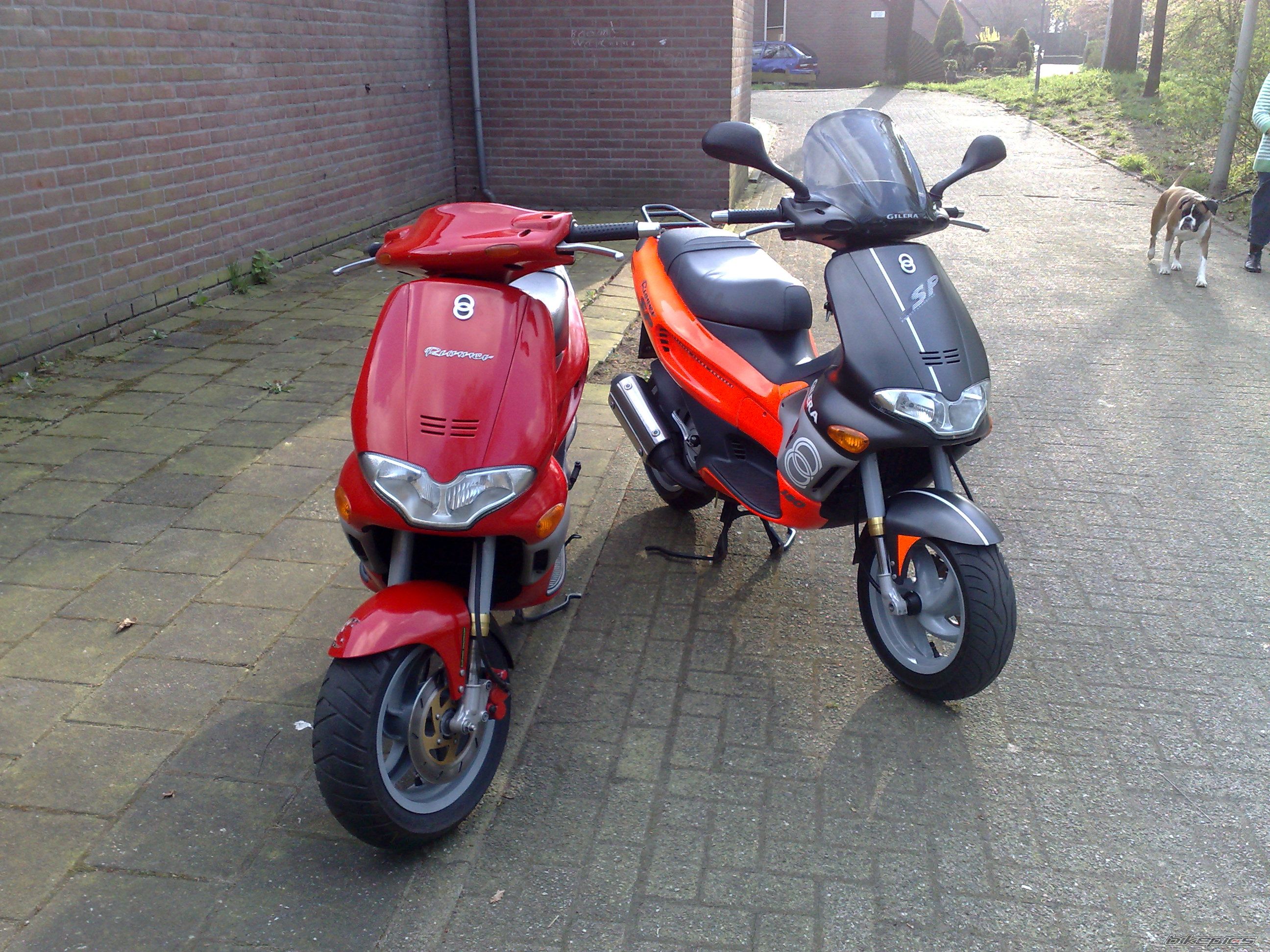 Bike Photo 1650564