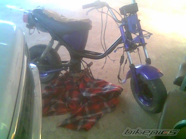 Bike Photo 1653308