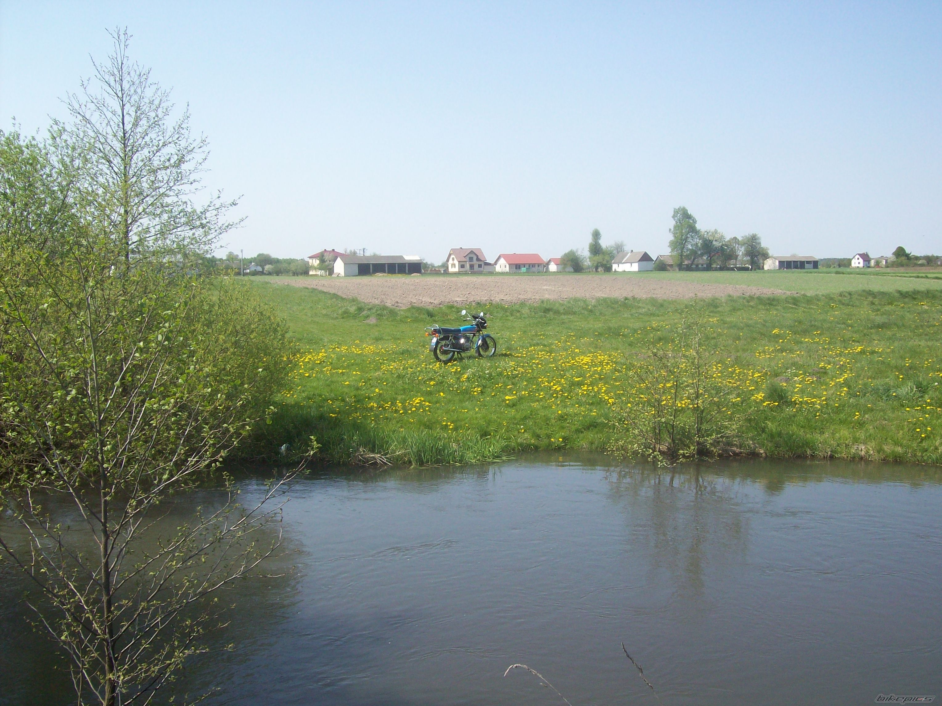 Photo 1655432