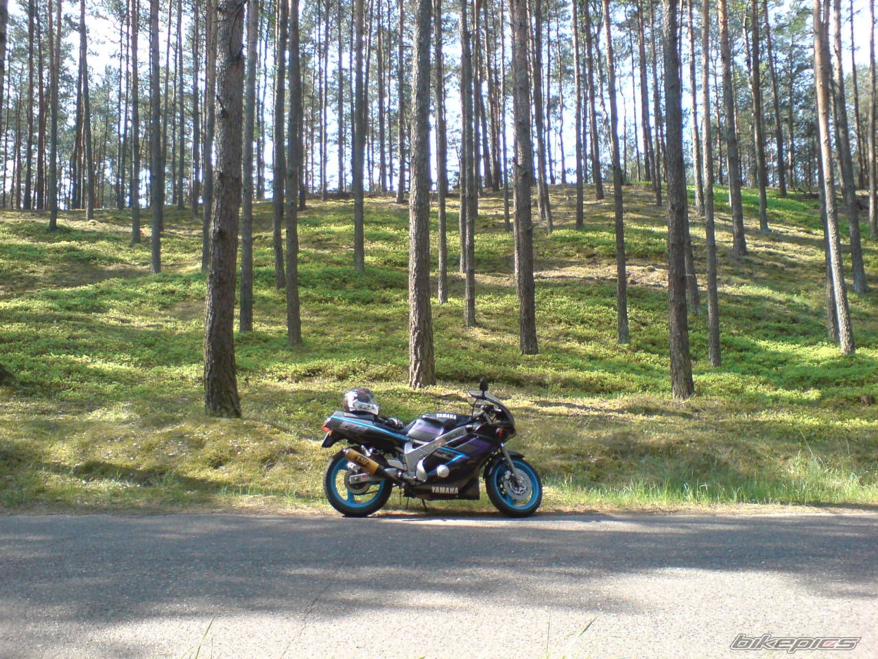 Bike Photo 1655937