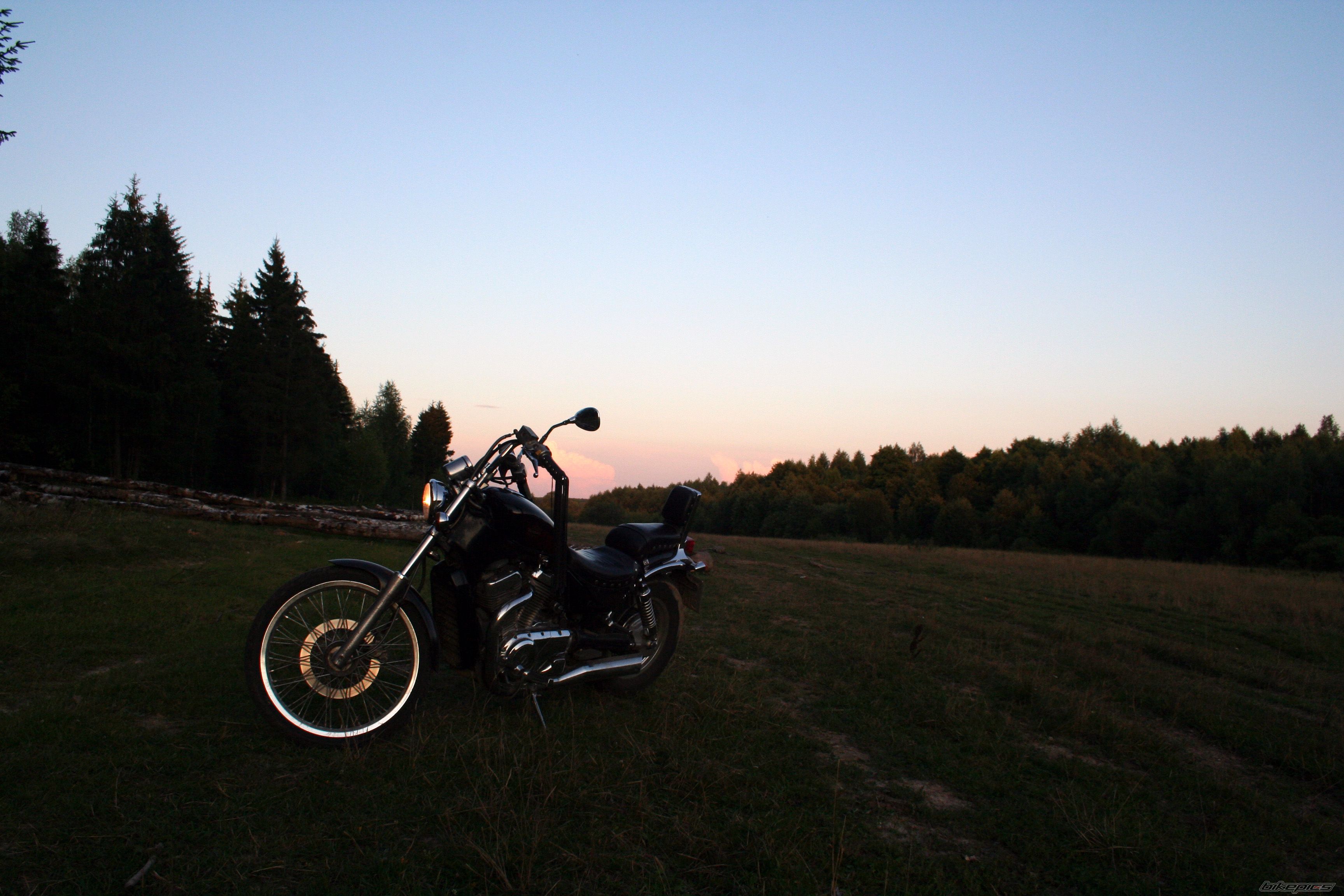 Photo 1658754