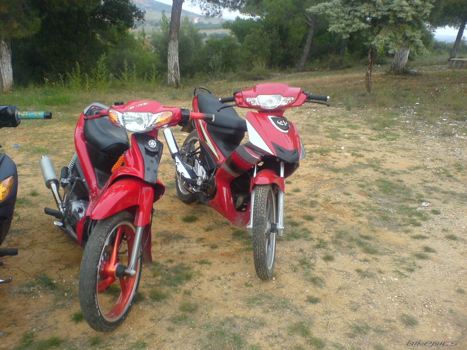 Photo 1658930