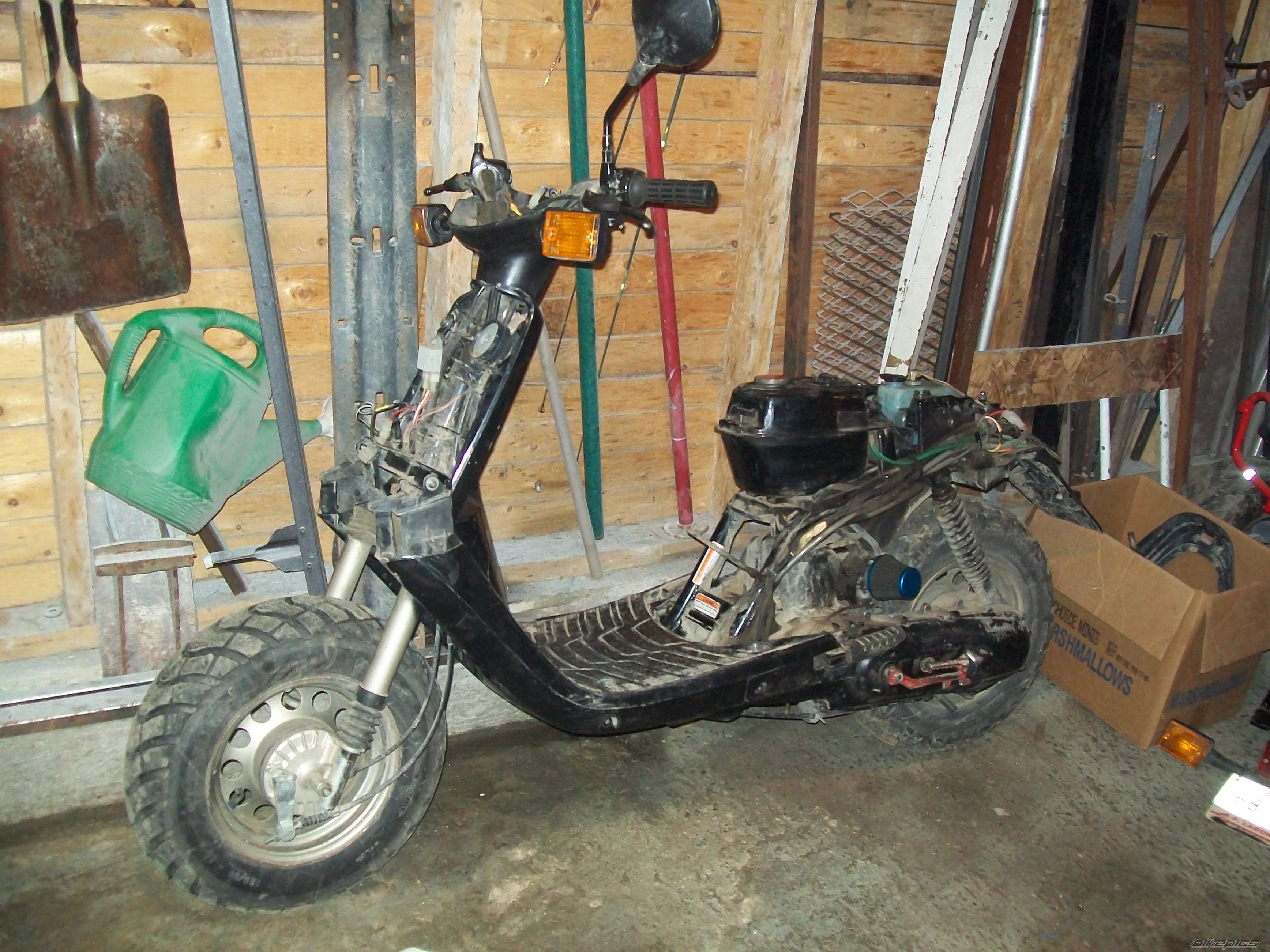 Photo 1660447