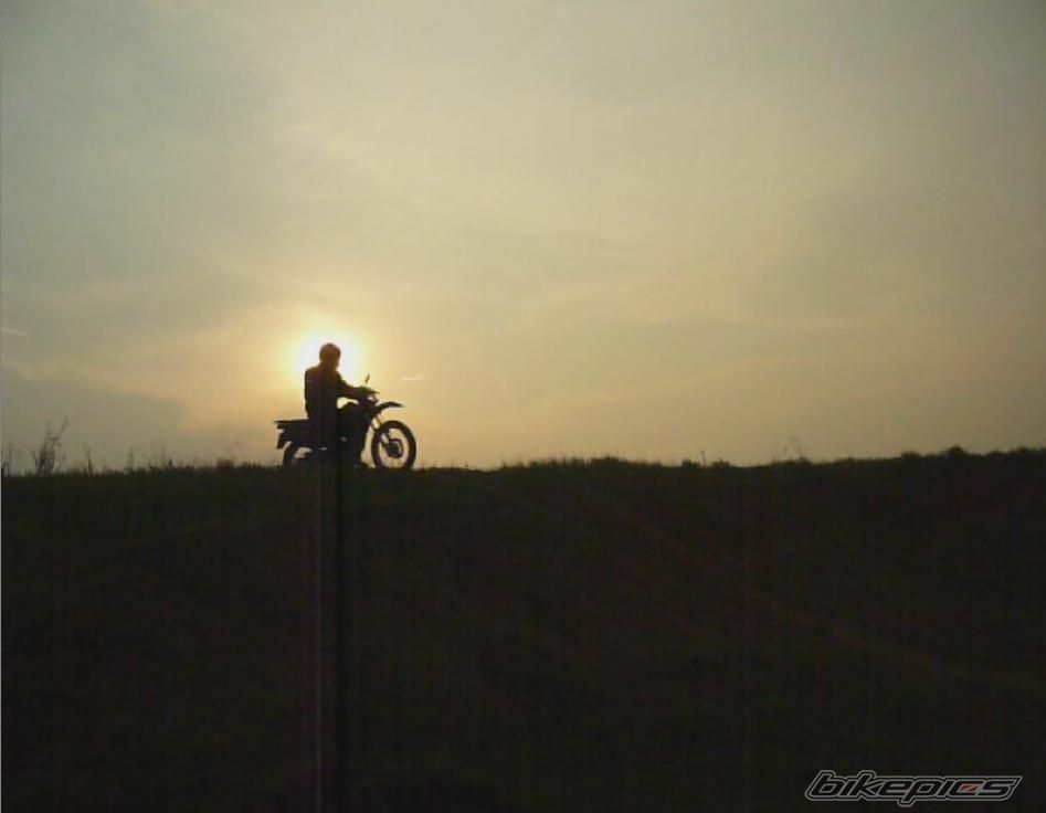 Photo 1662626