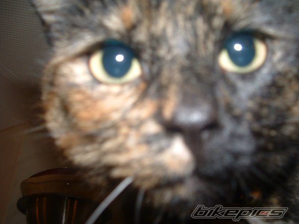 Photo 1667422