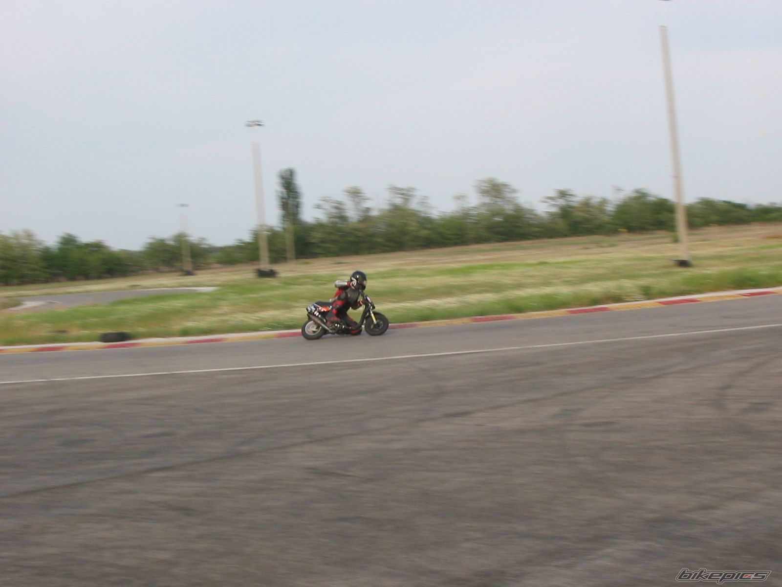 Photo 1667992