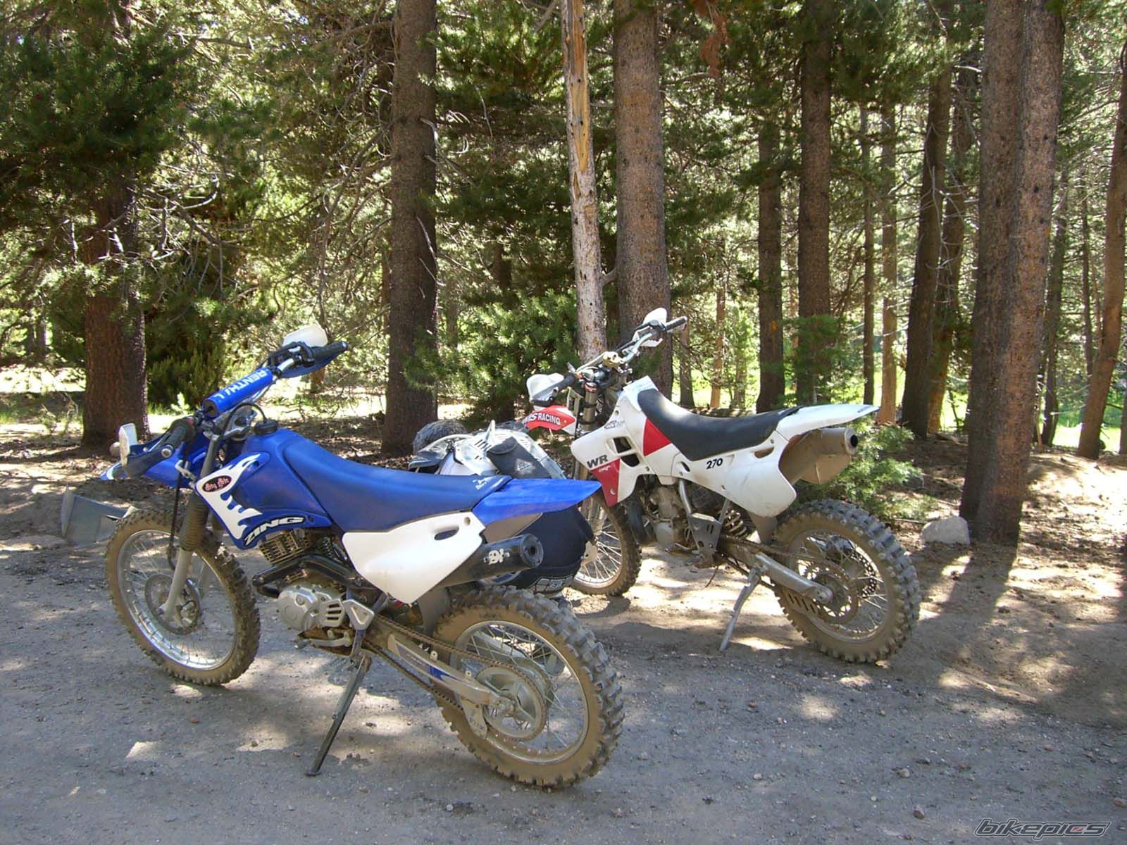 Bike Photo 1668244