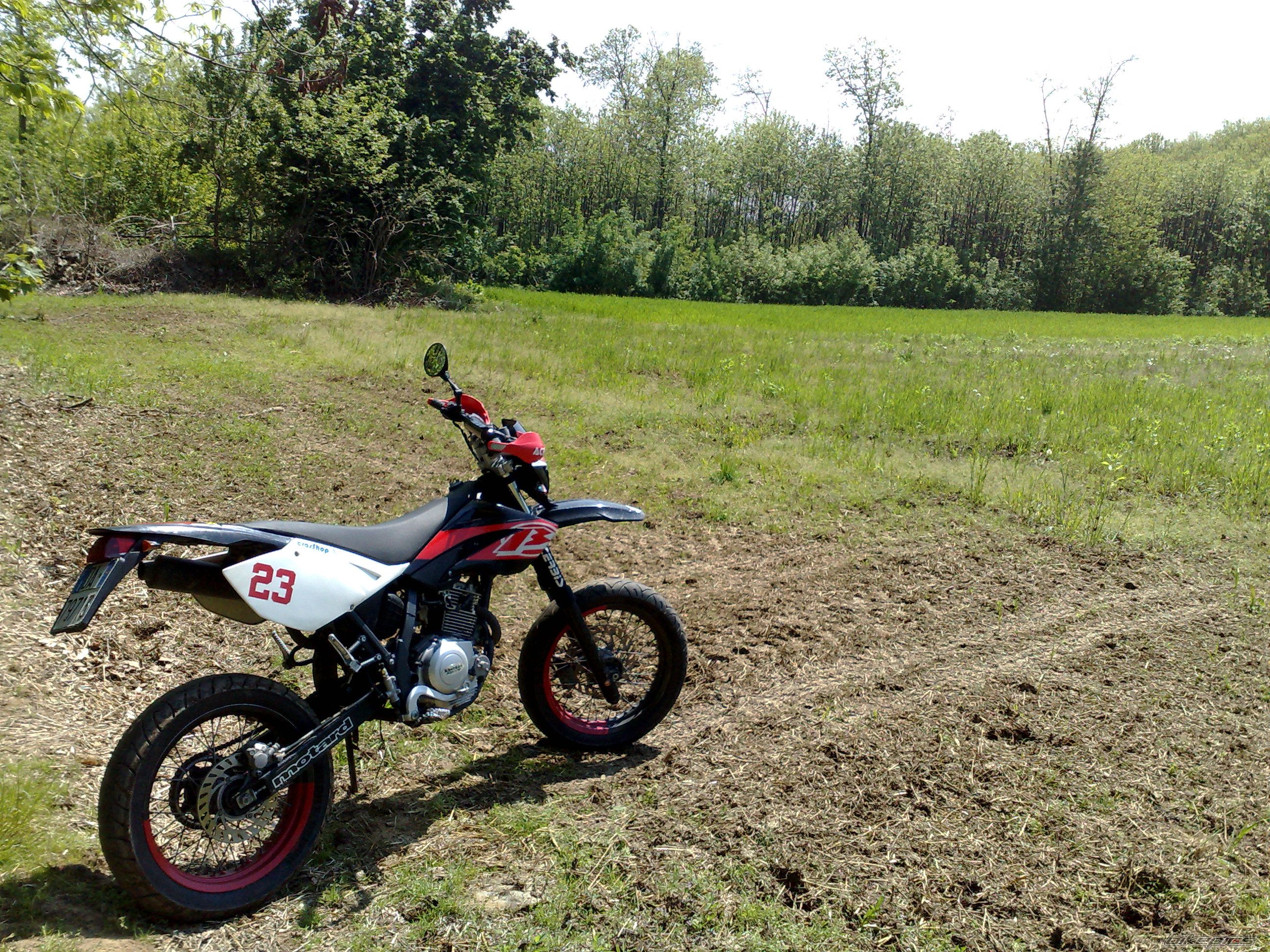 Photo 1669931