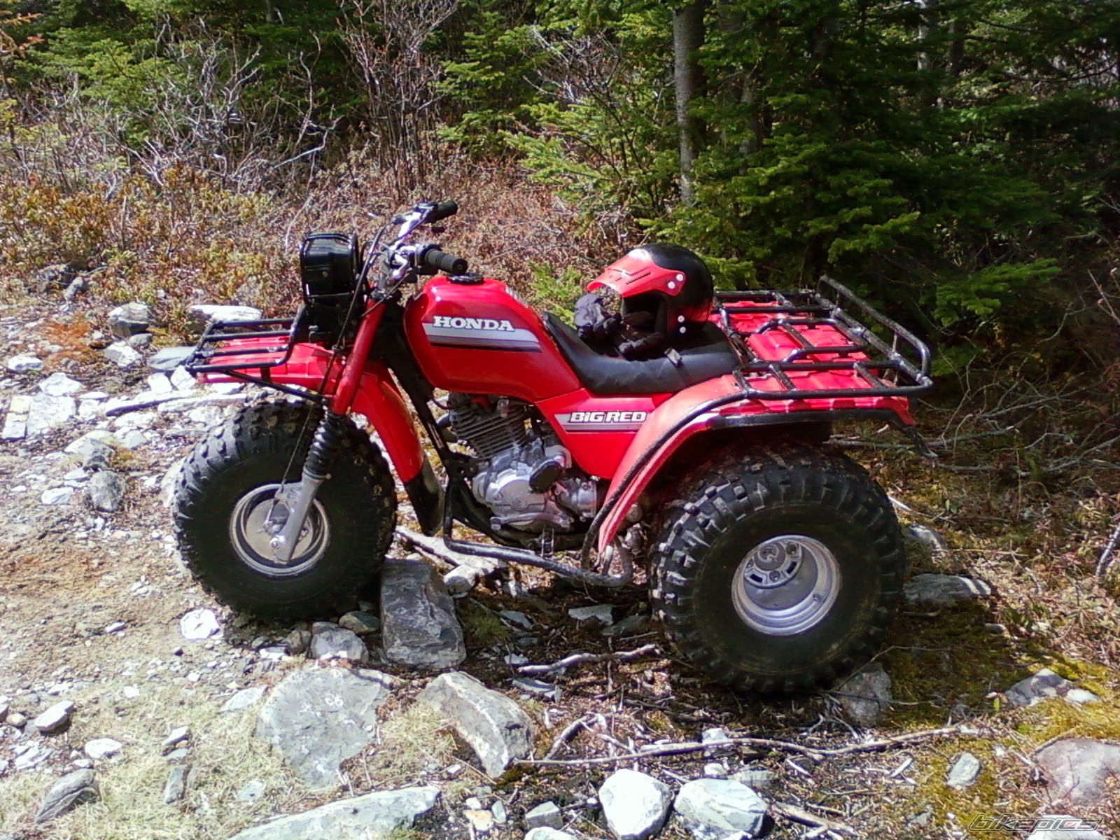 Photo 1673876