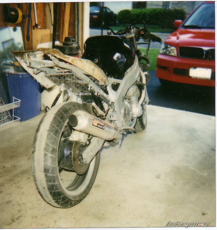 Photo 167637