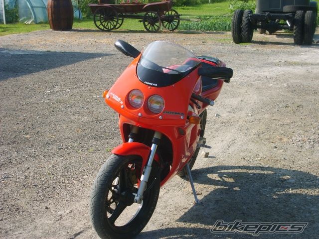 Photo 1678376