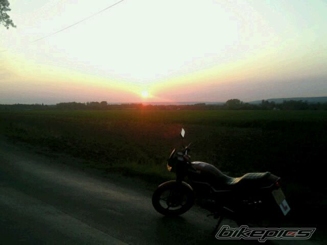 Photo 1678540