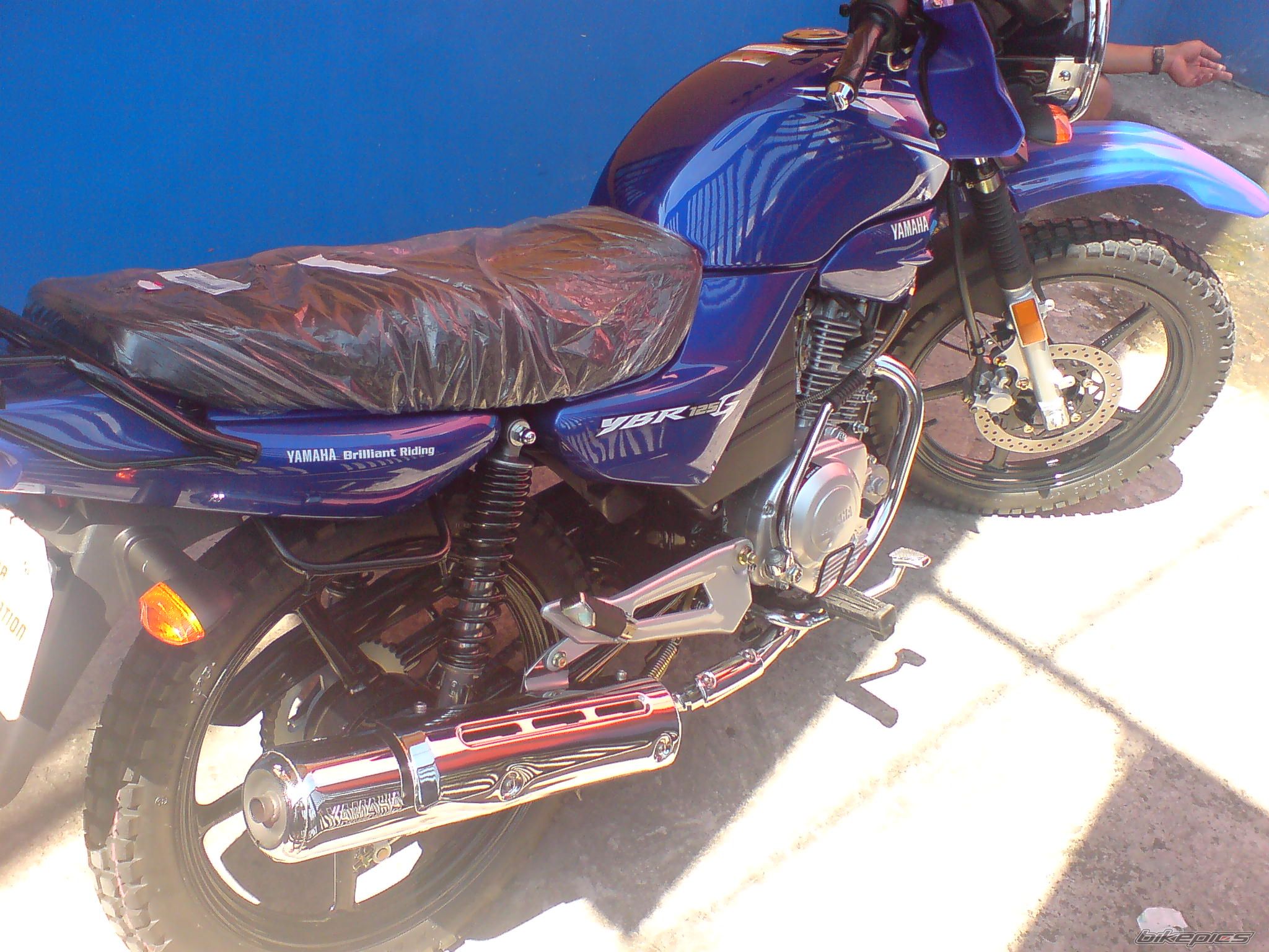 Photo 1679987