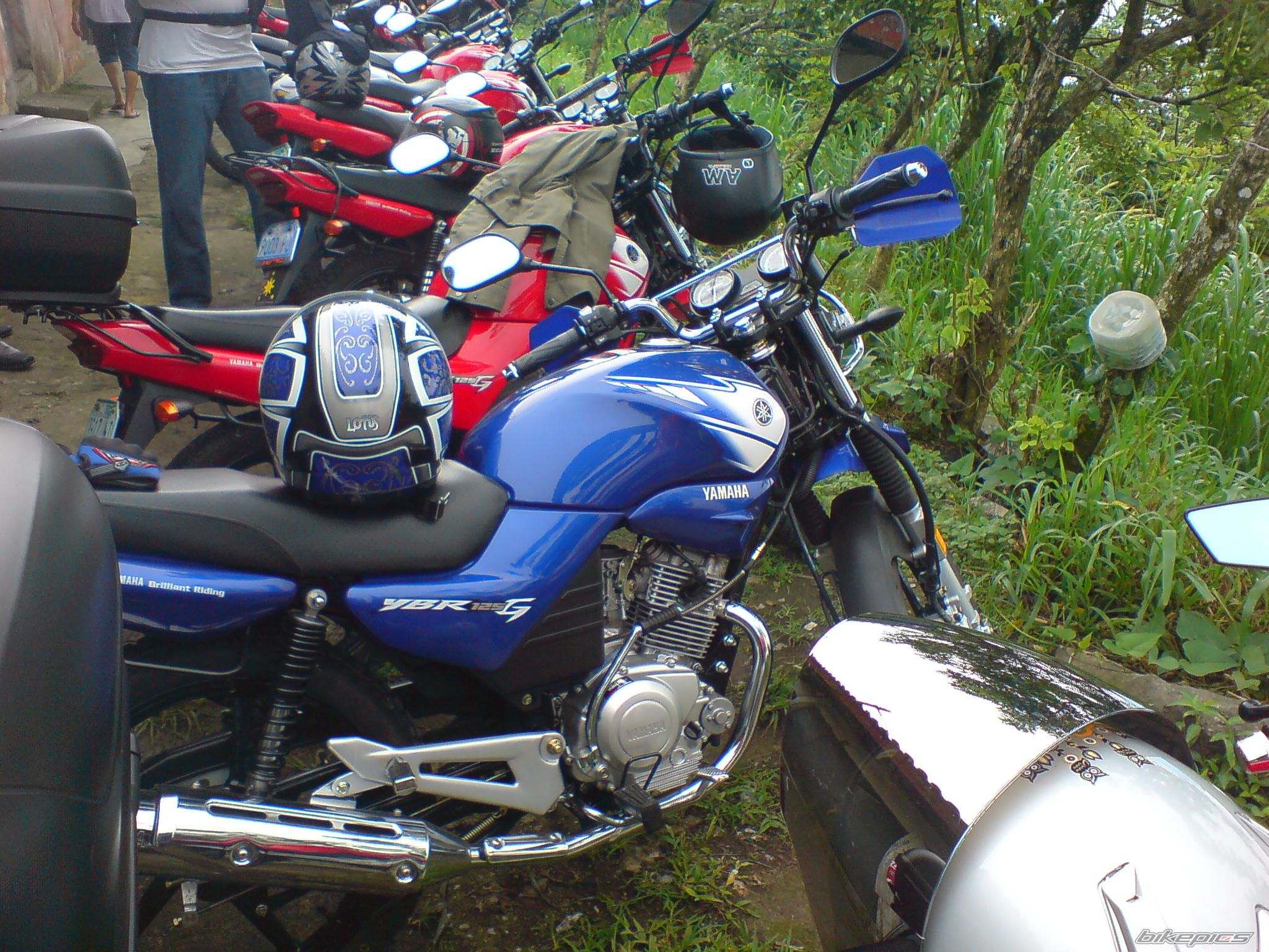 Photo 1679988