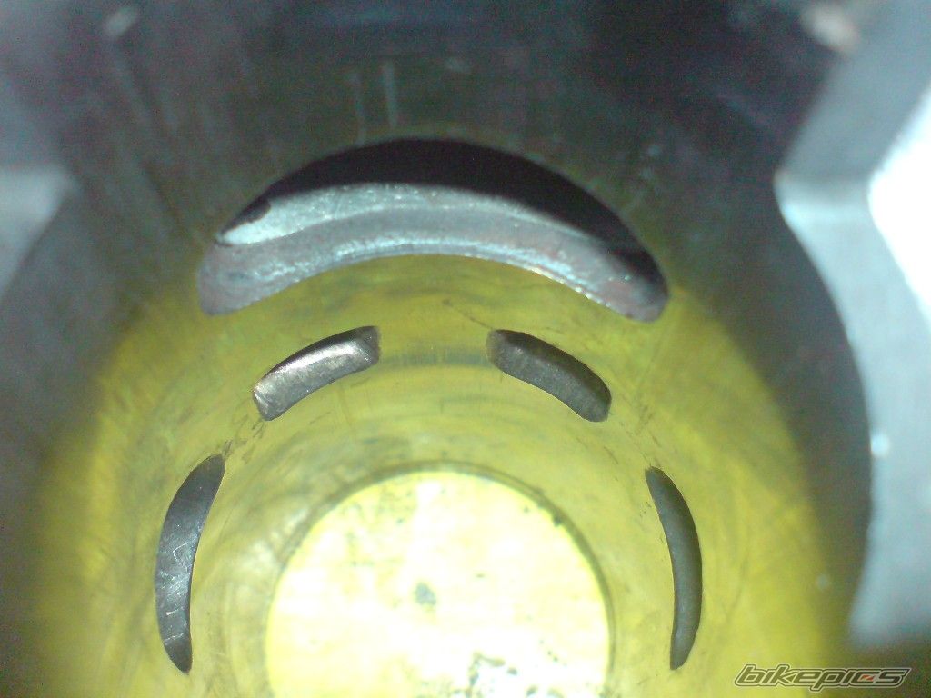 Photo 1681078