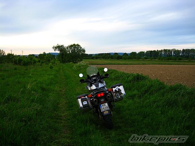 Photo 1681372