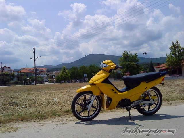 Photo 1681868