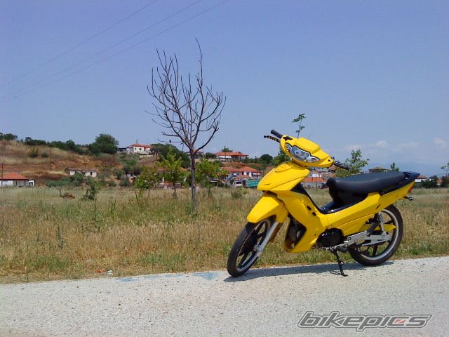 Photo 1681874