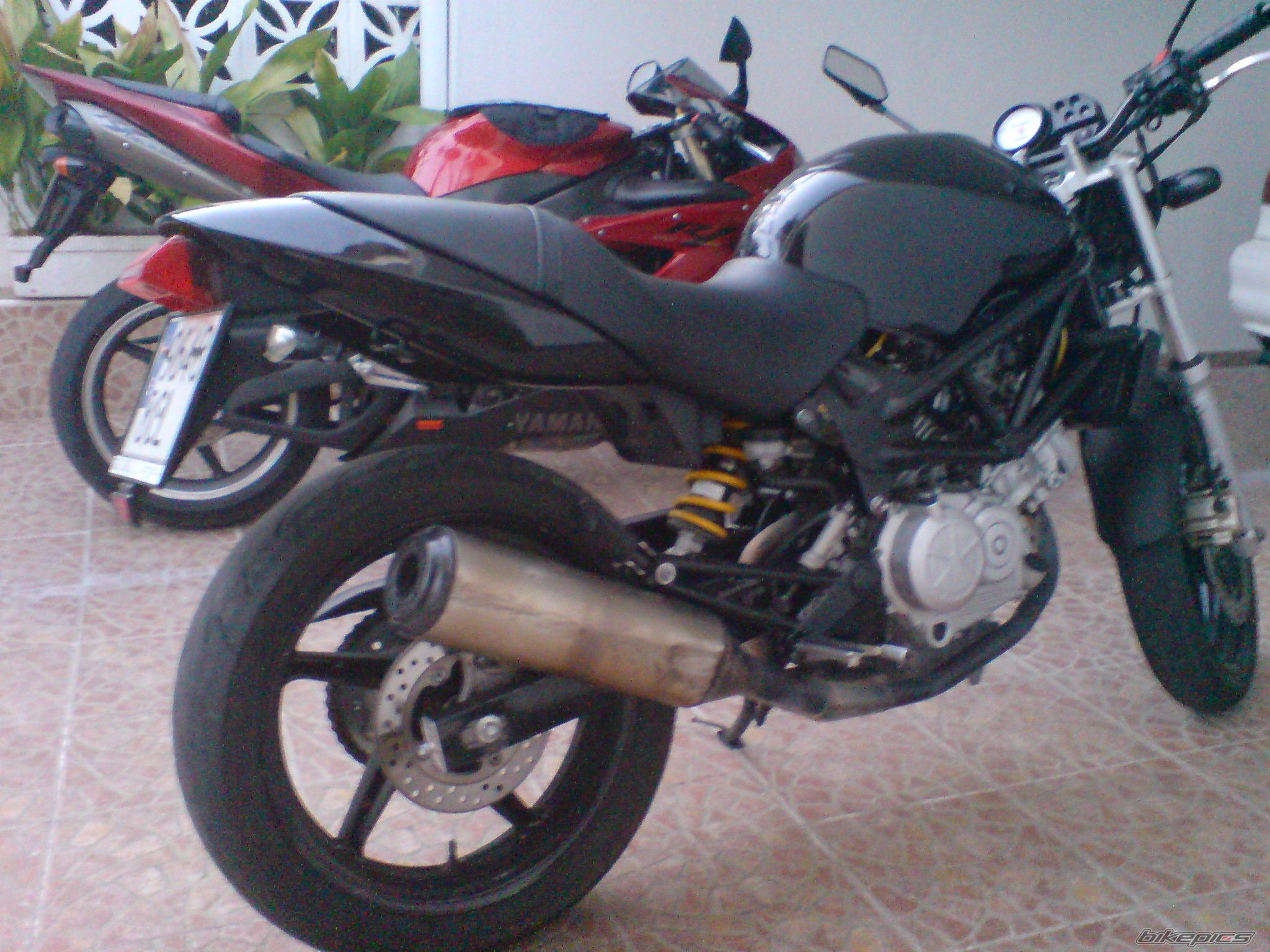 Photo 1682622