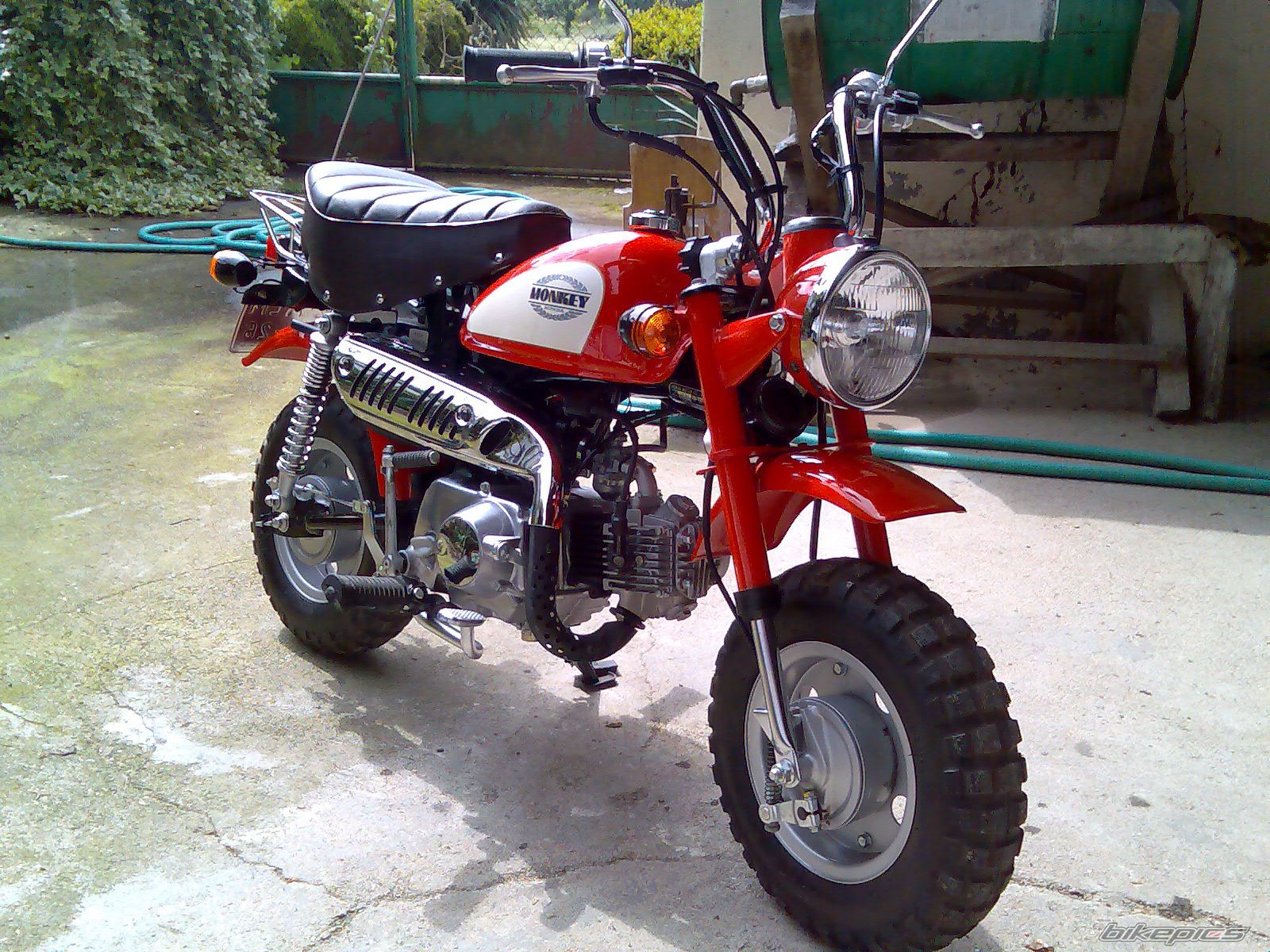 Photo 1683439